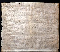 LLUCIÓ D´UN CENSAL 
BIBLIOTECA COL LEGI D´ADVOCATS