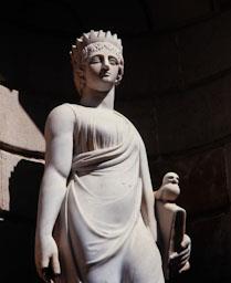 AMERICA FRANCESC BOVER 1802 
PATI DE LLOTJA