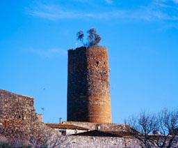 CASTELL DE CRUILLES TORRE DE L`HOMENATGE