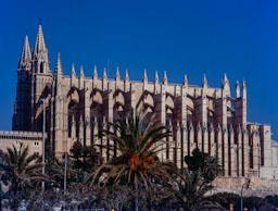 SEU DE MALLORCA S XIV XV