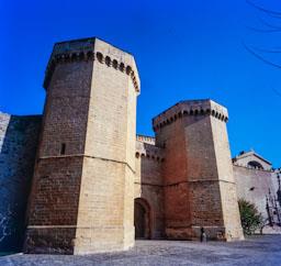 PORTA REIAL POBLET S XIV