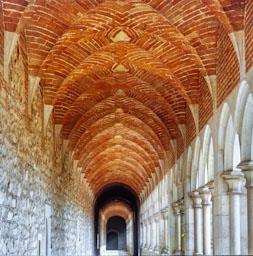 CARTOIXA DE MONTALEGRE CLAUSTRE