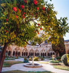 CLAUSTRE CATEDRAL TARRAGONA
