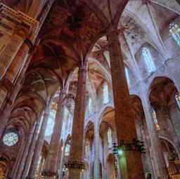 CATEDRAL DE MALLORCA