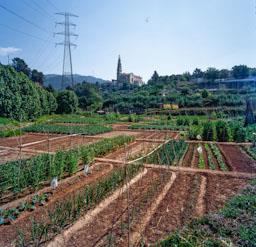 ESGL ST ESTEVE CASTELLAR VALLES