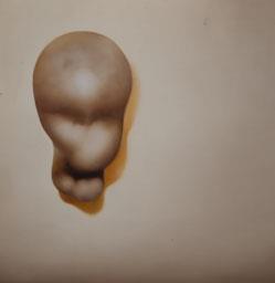 OBRA DE MARTI CORMAND