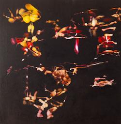 OBRA DE MARTI CORMAND