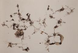 OBRA DE MARTI CORMAND
