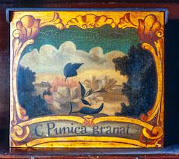 FARMACIA HOSP STA CREU CAPSES