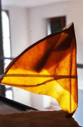 OBRA D´ANTONI LLENA AL SEU ESTUDI 2002