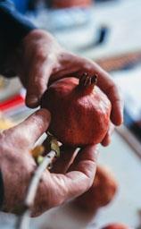 NARCIS COMADIRA AL SEU ESTUDI 2002