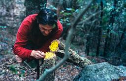 PEREJAUME MONTNEGRE 2002