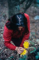 PEREJAUME MONTNEGRE 2002