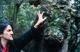 PEREJAUME MONTNEGRE 2002