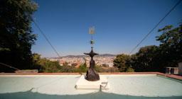 DONA OCELL I UNA ESTRELLA FUNACIO MIRO