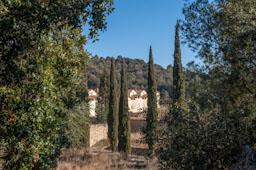 CARTOIXA DE MONTALEGRE S XV TIANA