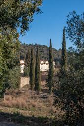 CARTOIXA DE MONTALEGRE S XV TIANA