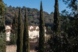 CARTOIXA DE MONTALEGRE S XV TIANA