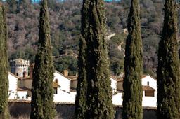 CARTOIXA DE MONTALEGRE S XV TIANA