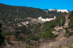 CARTOIXA DE MONTALEGRE S XV TIANA