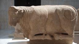 TORO PROCEDENT D´OSUNA 
MUSEO ARQUEOLÓGICO NACIONAL