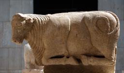 TORO PROCEDENT D´OSUNA 
MUSEO ARQUEOLÓGICO NACIONAL