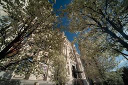 PALACIO DE COMUNICACIONES O DE CIBELES 
MADRID