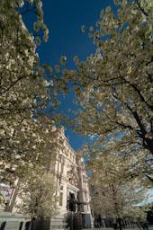 PALACIO DE COMUNICACIONES O DE CIBELES 
MADRID