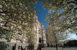 PALACIO DE COMUNICACIONES O DE CIBELES 
MADRID
