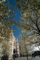 PALACIO DE COMUNICACIONES O DE CIBELES 
MADRID