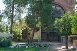 PARC DE LA CIUTADELLA FENT IOGA