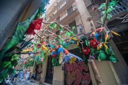 FESTA MAJOR DE GRÀCIA CARRERS GUARNITS