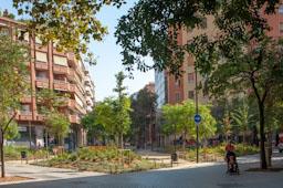 CARRER CONSELL DE CENT 
ILLES VERDES