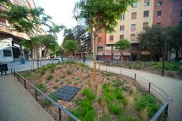 CARRER CONSELL DE CENT 
ILLES VERDES