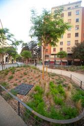 CARRER CONSELL DE CENT 
ILLES VERDES