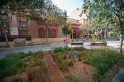 CARRER CONSELL DE CENT 
ILLES VERDES