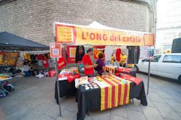 ONZE DE SETEMBRE 2023 
FOSSAR DE LES MORERES
