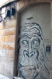 GRAFITI AL CARRER DE LA FONT DEL LLIRI 2023