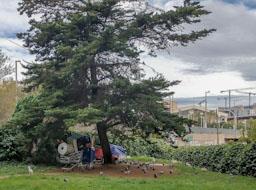 CAMPAMENT IDIGENTS COSTAT T N C