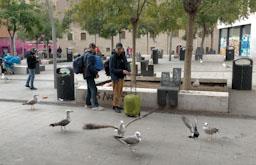 MERCAT DE LA BOQUERIA GAVINES 2023 S XXI