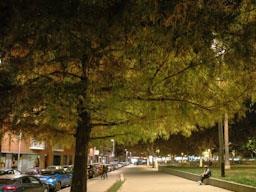 PLAÇA POMPEU FABRA MATARO