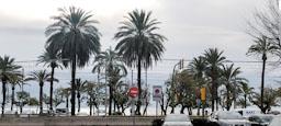 FRONT MARITIM DE MATARO REMODELACIO N II
