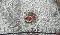 CALAMARÇADA MES DE FEBRER MATARO