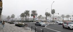 AVINGUDA MARESME 
DIA DE BOIRA MARÇ 2024