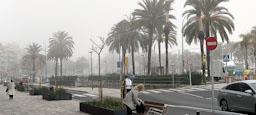 AVINGUDA MARESME 
DIA DE BOIRA MARÇ 2024