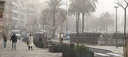 AVINGUDA MARESME 
DIA DE BOIRA MARÇ 2024