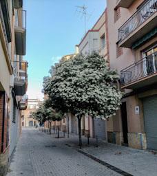 CARRER JOSEP CASTELLÀ MATARO