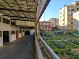 TORRE ELISABET MATARO
