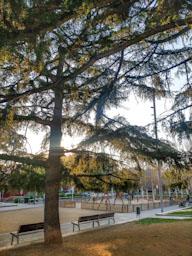 PLAÇA ANDALUCIA MATARO