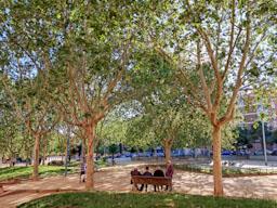 PLAÇA CATALUNYA MATARO